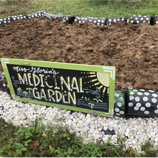 Fighting for Community: Ms. Gloria’s Garden in the Tremé Neighborhood